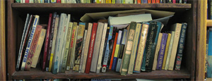 composite photo of a book shelf